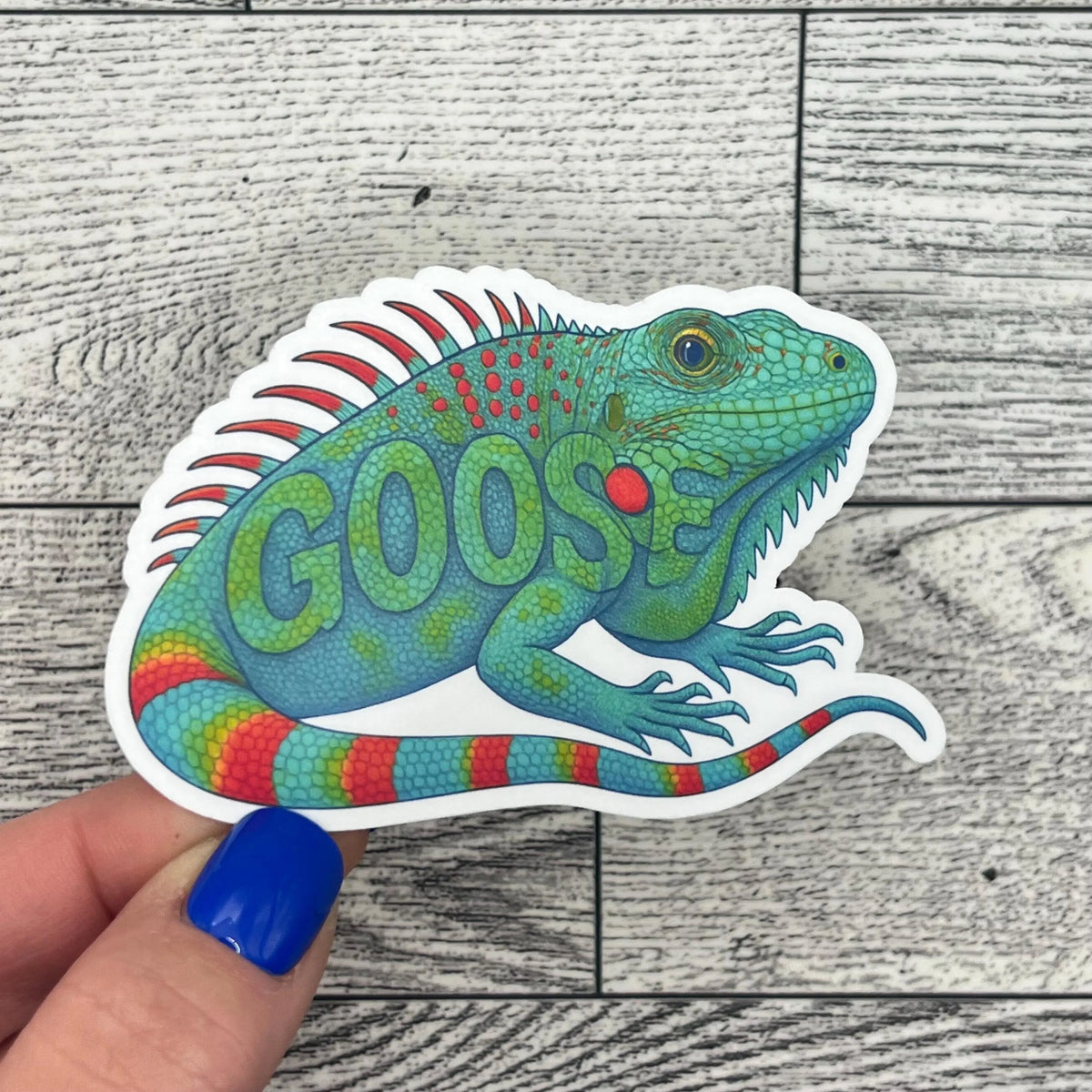 Goose Iguana Song Green Red Teal Blue Iguana Everything Must Go Vinyl Sticker Slap Matte Finish 2.3" x 3.3"