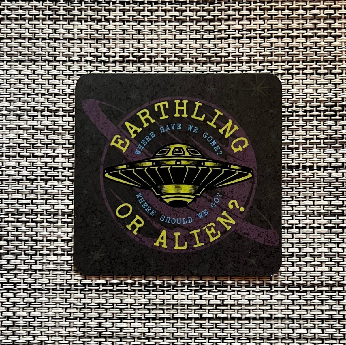 Goose Earthling or Alien? Spaceship Goose the Band Vinyl Sticker Slap Matte Finish 2.5" x 2.5"
