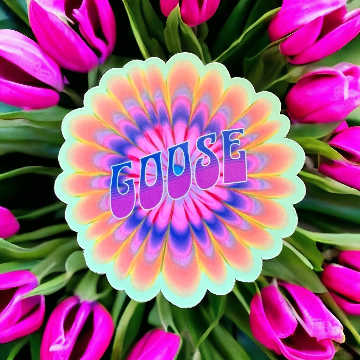 Goose Purple Pink Orange Yellow Green Psychedelic Sunburst Vinyl Sticker Slap Goossy Finish 3.0" x 3.0"