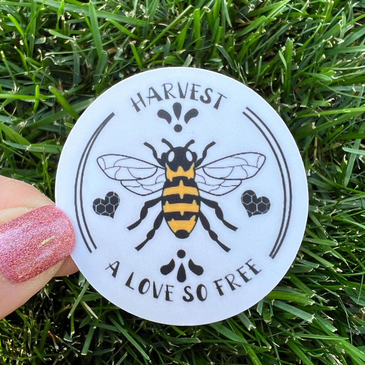 Goose HONEYBEE Harvest A Love So Free Goose Song Lyrics Circle Vinyl Sticker Slap 2.1" x 2.1" Matte Finish