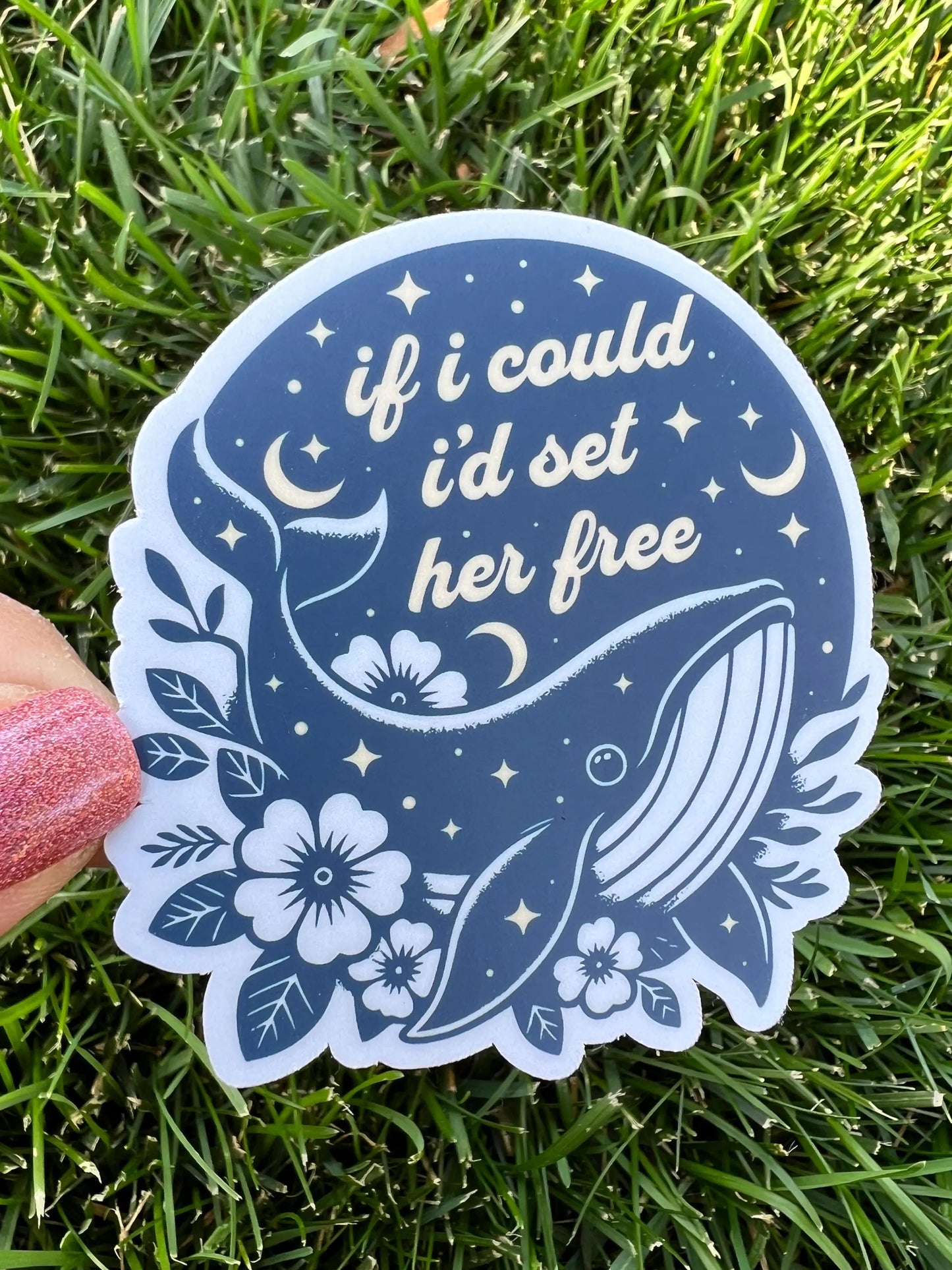 Goose The Whales If I Could I'd Set Her Free Light Blue Yellow Vinyl Sticker Slap Matte Finish 2.9" x 2.8"