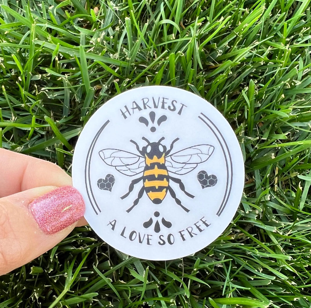 Goose HONEYBEE Harvest A Love So Free Goose Song Lyrics Circle Vinyl Sticker Slap 2.1" x 2.1" Matte Finish