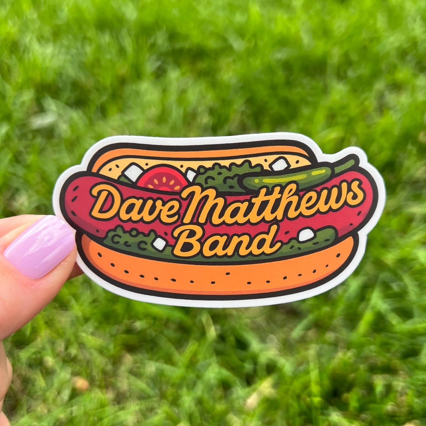 Dave Matthews Band Chicago Style Hot Dog Vinyl Sticker Slap 1.8" x 3.3” Matte Finish