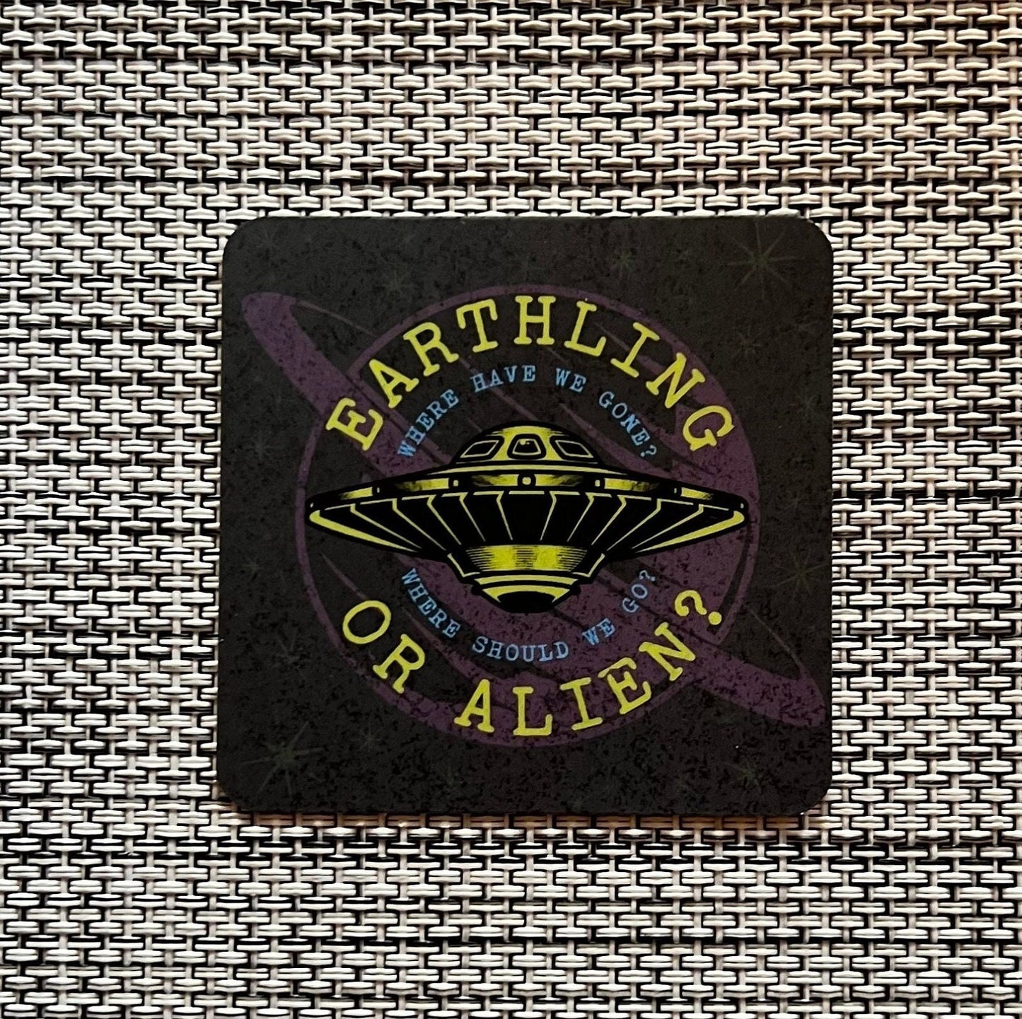 Goose Earthling or Alien? Spaceship Goose the Band Vinyl Sticker Slap Matte Finish 2.5" x 2.5"